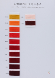 2/48NM 2.2% cashmere 2/48NM 6.8% silk wool 43% anti pilling nylon 28% acrylic fiber 20% recycled fiber